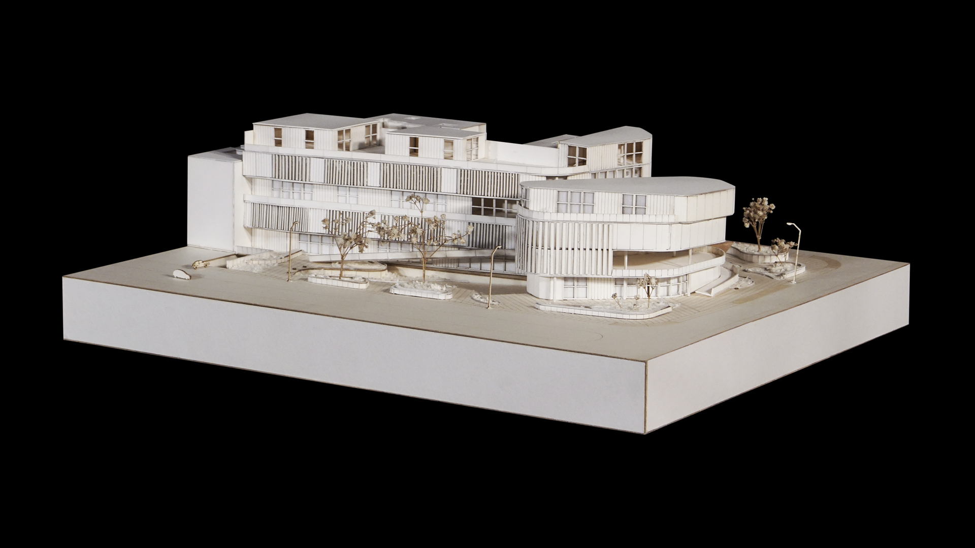 02 VERTICALES T1 - I0_PORTADA_N5_T1_PALMA