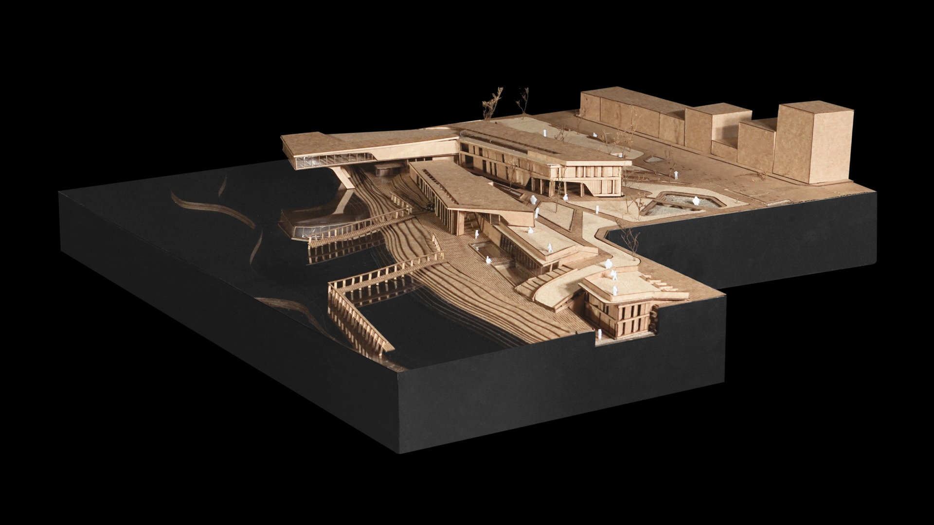 02 VERTICALES T10 - I0_PORTADA_N5_T10_TRINIDAD (2)