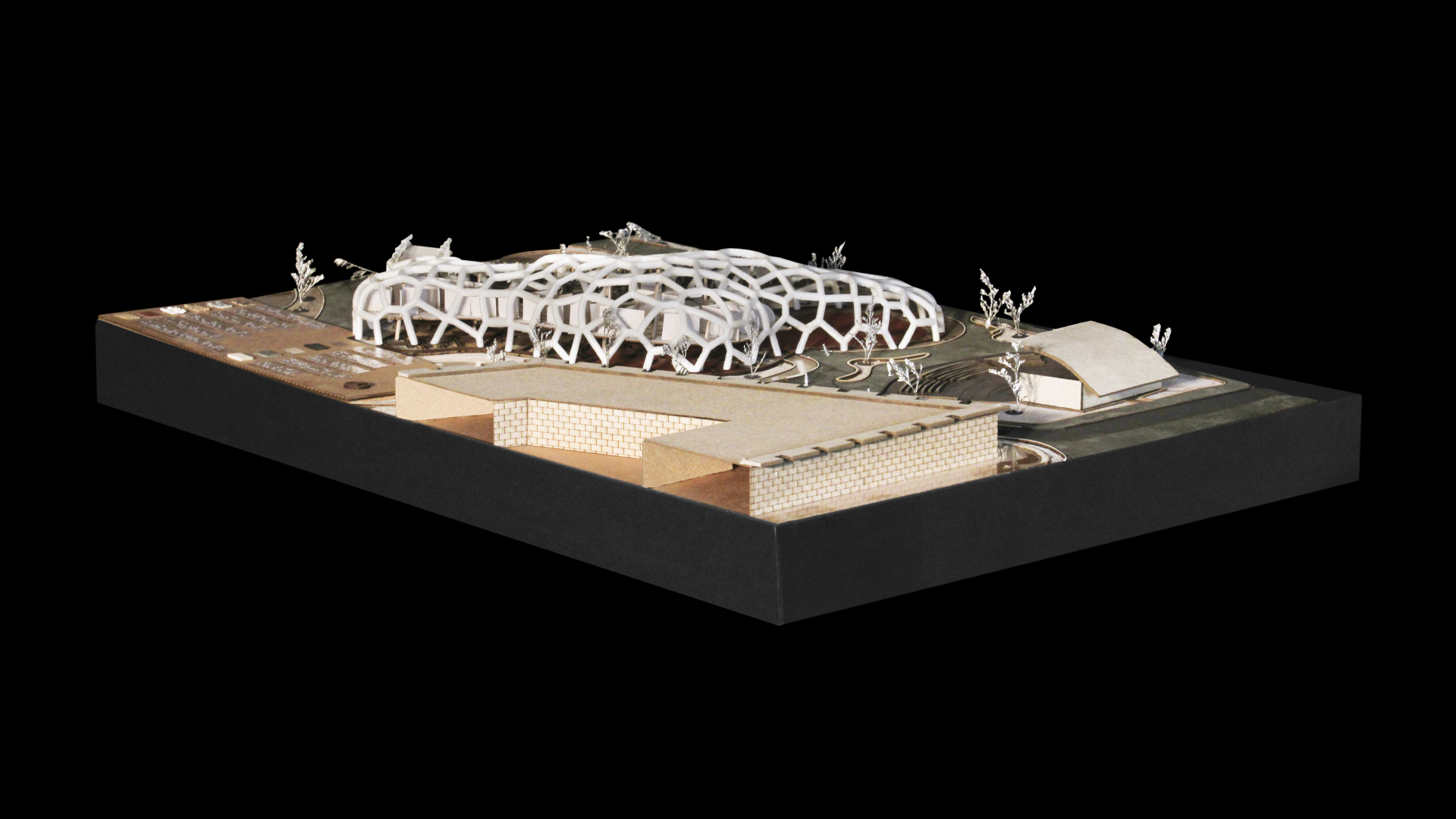 02 VERTICALES - T10_N8_VERA (PORTADA)