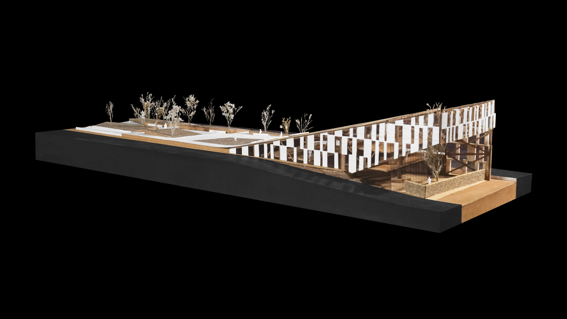 02 VERTICALES T11 - I0_PORTADA_N3_T11_CHIRINOS