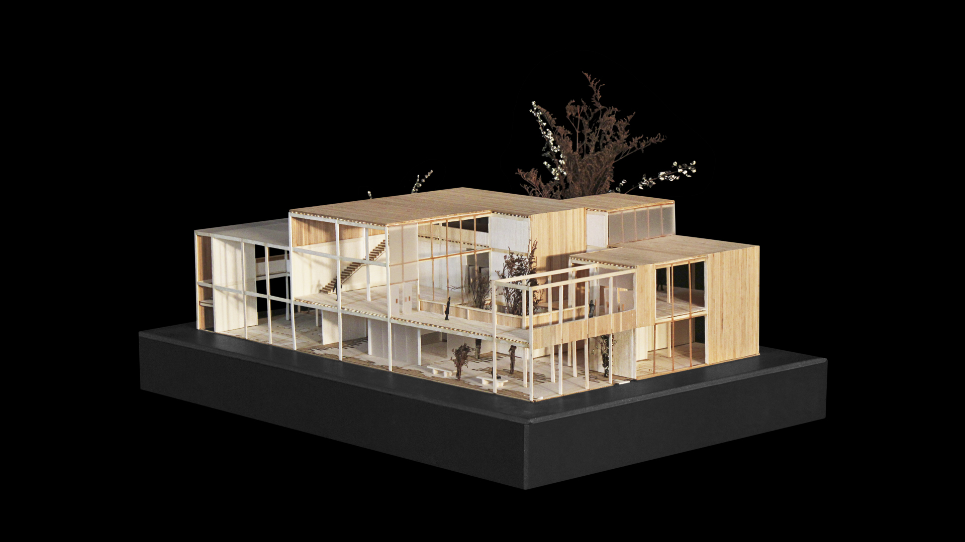 02 VERTICALES - T5_N4_VICUÑA (PORTADA)