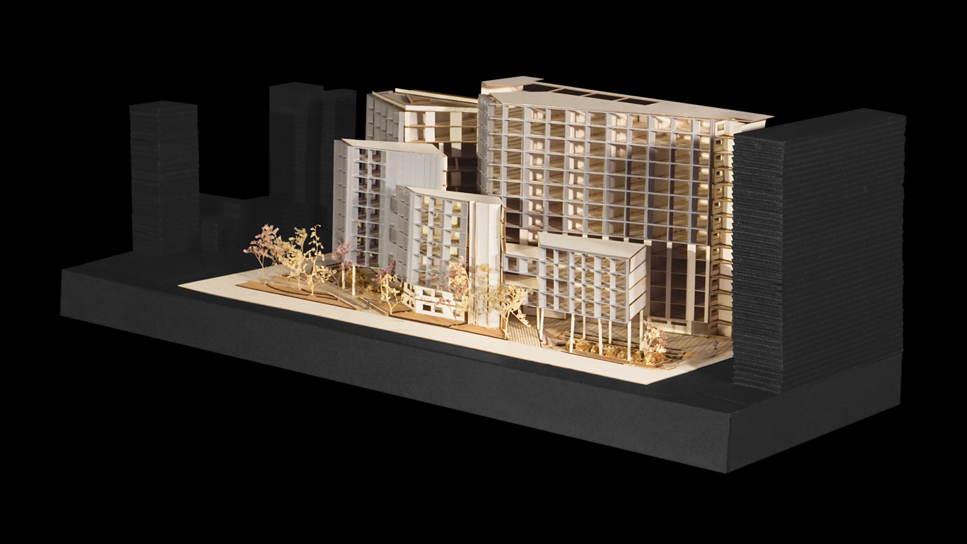 02 VERTICALES T7 - I0_PORTADA_N7_T7_DIAZ