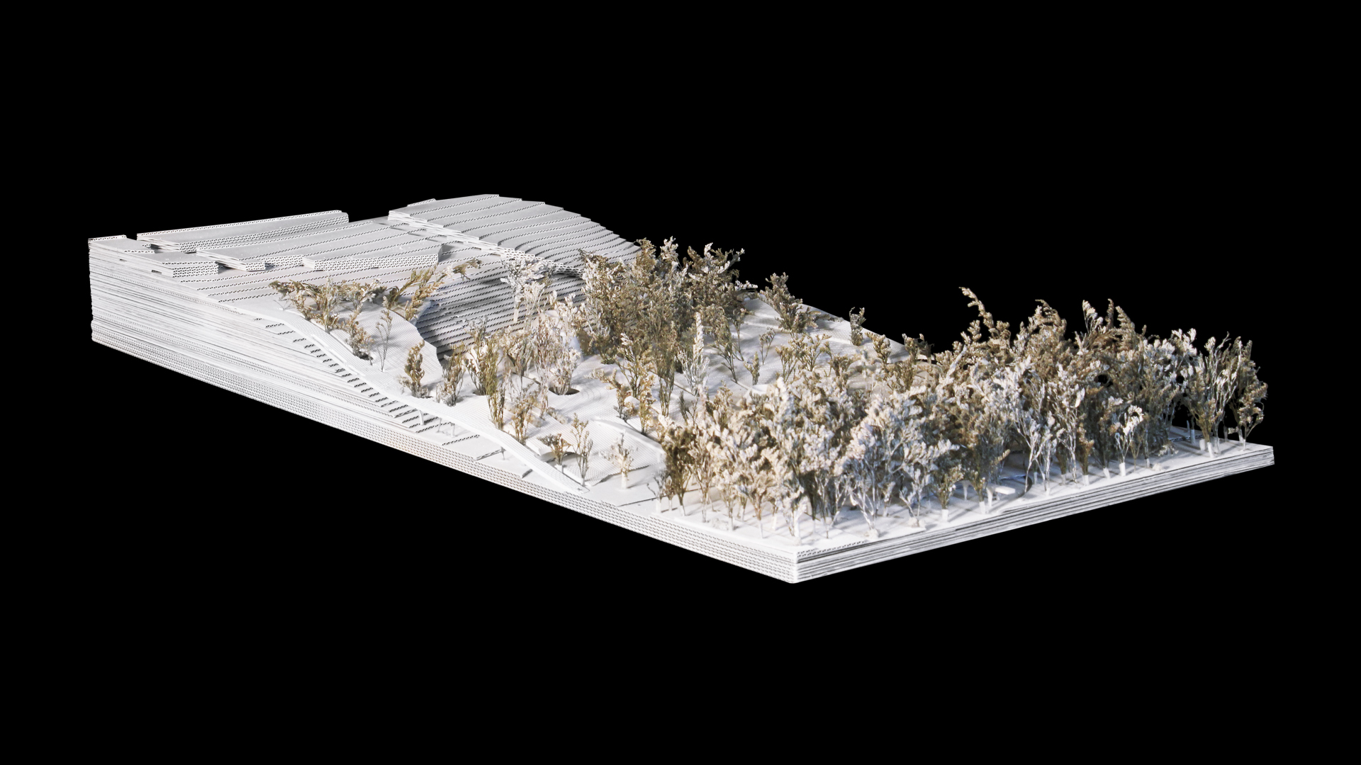 02 VERTICALES - T9_N9_MARTIN (PORTADA)