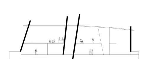 I1_PLX_N3_T10_Bravo (3)