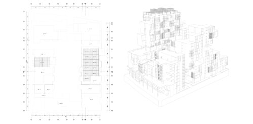 I1_PLX_N7_T11_Vicuña (2) I1_PLX_N7_T11_Vicuña (2)