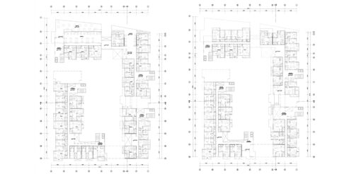 I1_PLX_N7_T11_Vicuña (3) I1_PLX_N7_T11_Vicuña (3)