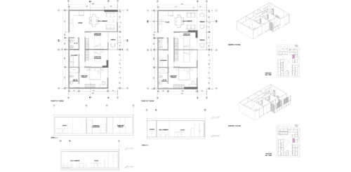I1_PLX_N7_T11_Vicuña (6) I1_PLX_N7_T11_Vicuña (6)