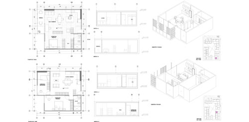 I1_PLX_N7_T11_Vicuña (7) I1_PLX_N7_T11_Vicuña (7)