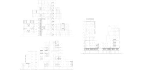 I1_PLX_N7_T11_Vicuña (8) I1_PLX_N7_T11_Vicuña (8)