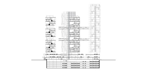 I1_PLX_N7_T1_Flores (3)