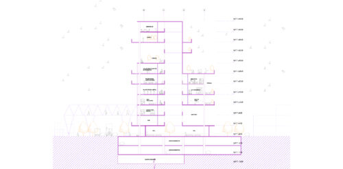 I1_PLX_N8_T5_Borrajeros (5)