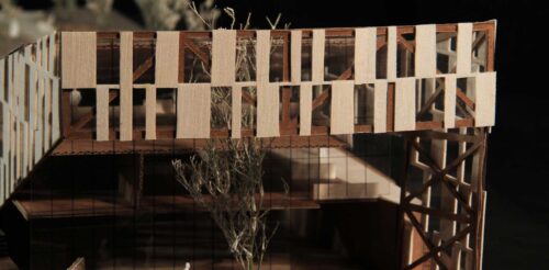 I4_D1_N3_T11_CHIRINOS