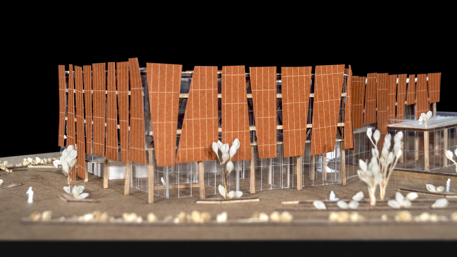 Taller11_T11_N6_ Fatima Fernandez Silva_1-250_DETALLES (4)