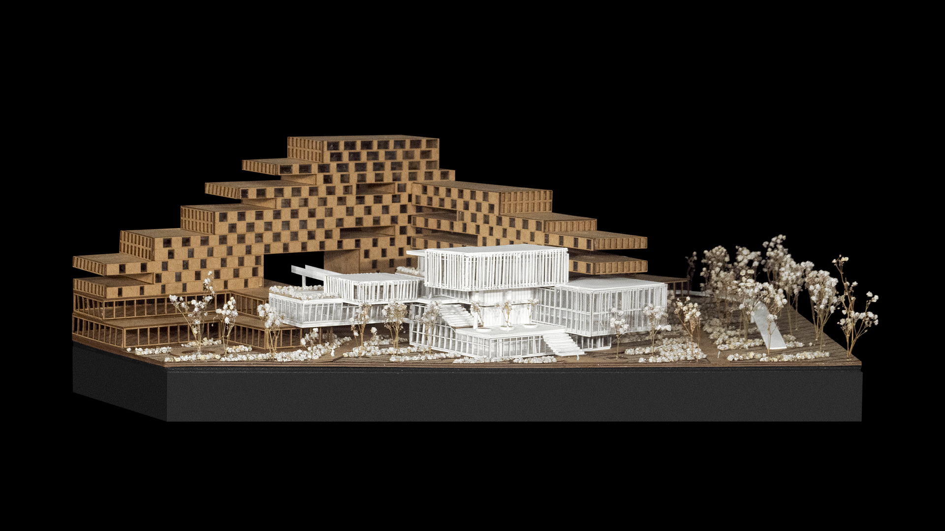 Taller4_T4_N8_Allison Urbano_1-200_GENERALES (1)